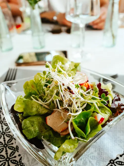 Salat mit Sprossen