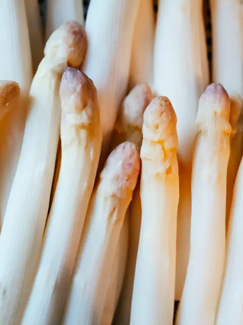Bund Spargel